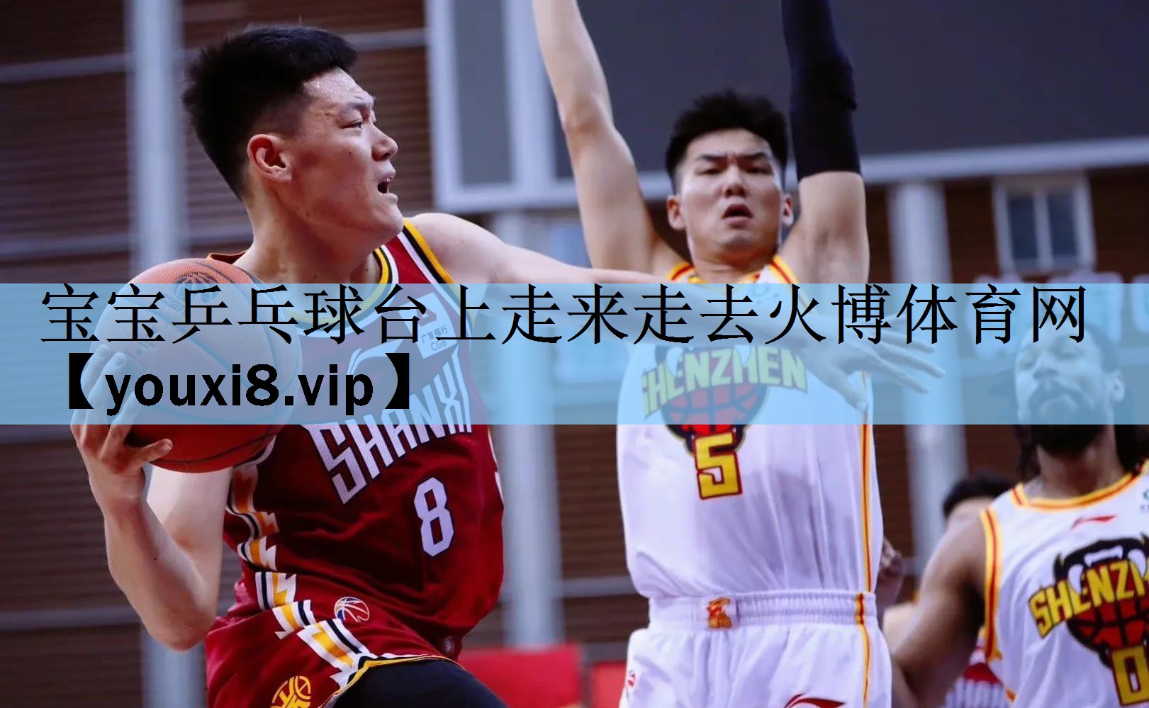 宝宝乒乓球台上走来走去火博体育网