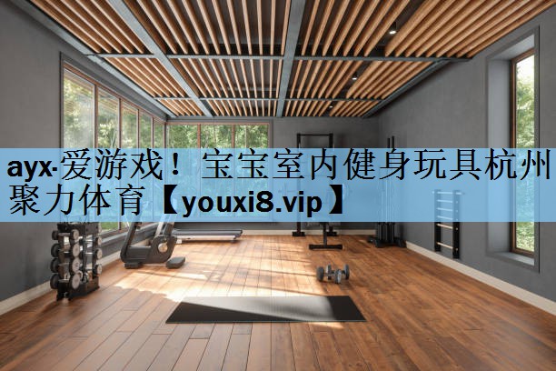 ayx·爱游戏！宝宝室内健身玩具杭州聚力体育