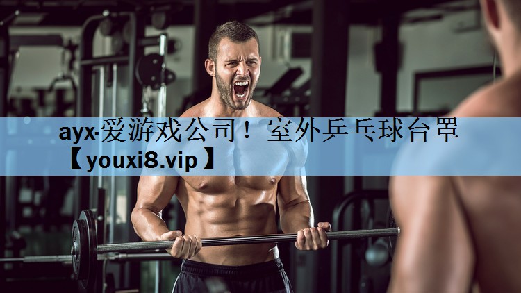 ayx·爱游戏公司！室外乒乓球台罩