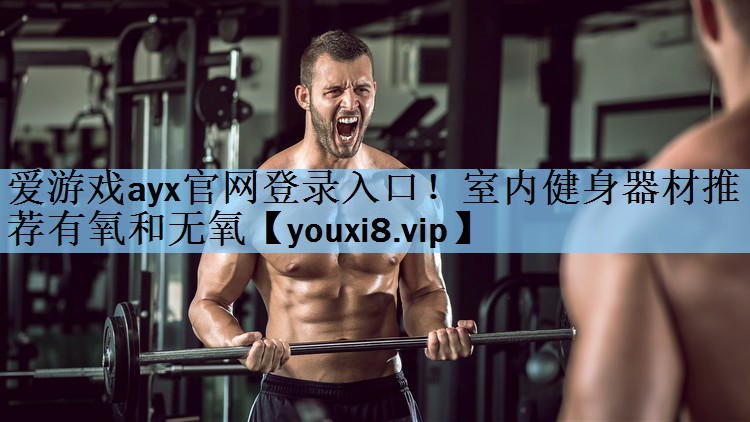 爱游戏ayx官网登录入口！室内健身器材推荐有氧和无氧