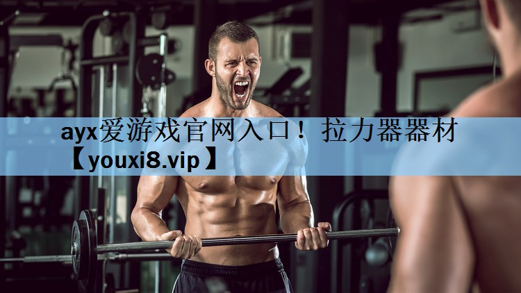拉力器器材
